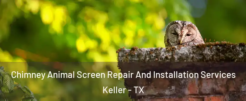  Chimney Animal Screen Repair And Installation Services Keller - TX